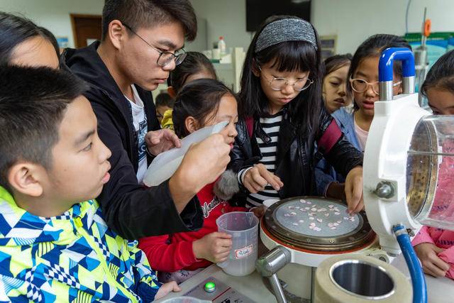 小学生变身“造纸家”！扬子读写网线下公益活动探秘南林实验室